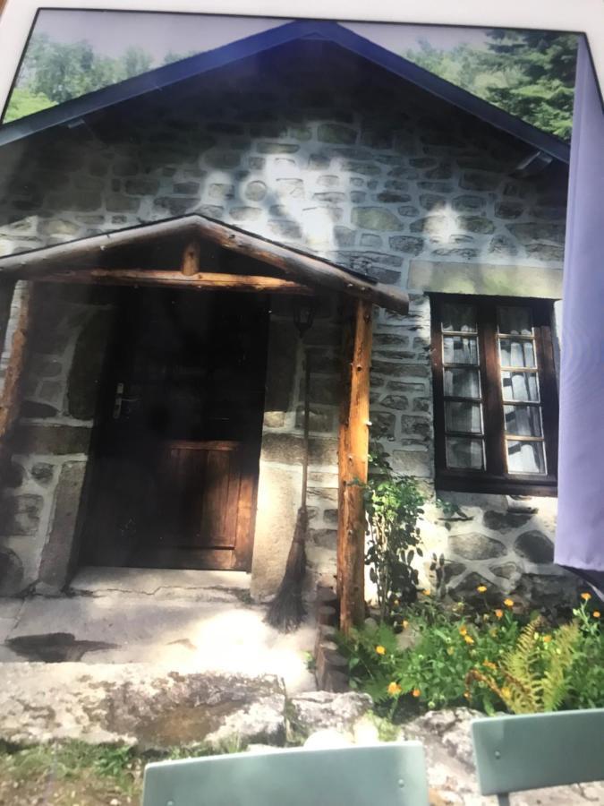 Woodland Cottage Faux-la-Montagne Eksteriør bilde